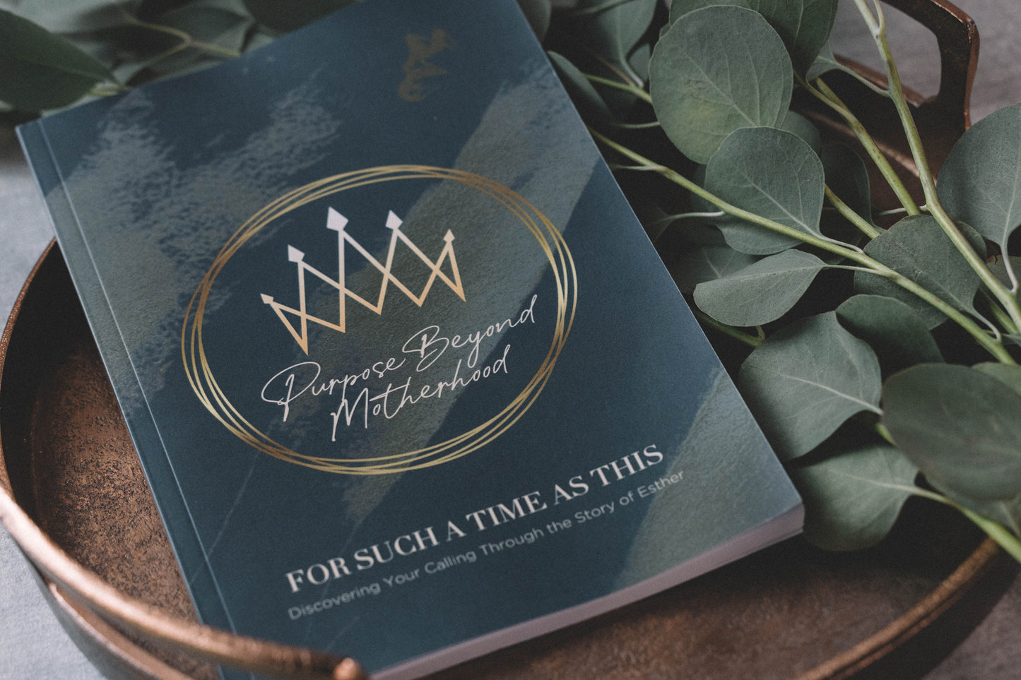 Purpose Beyond Motherhood: A Bible Study Through the Story of Esther
