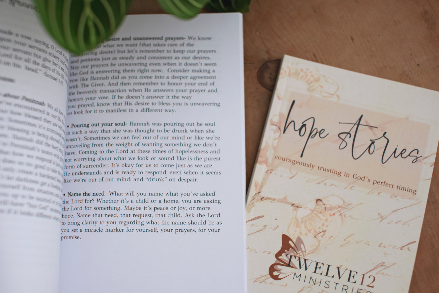 Hope Stories Bible Study Leader Guide