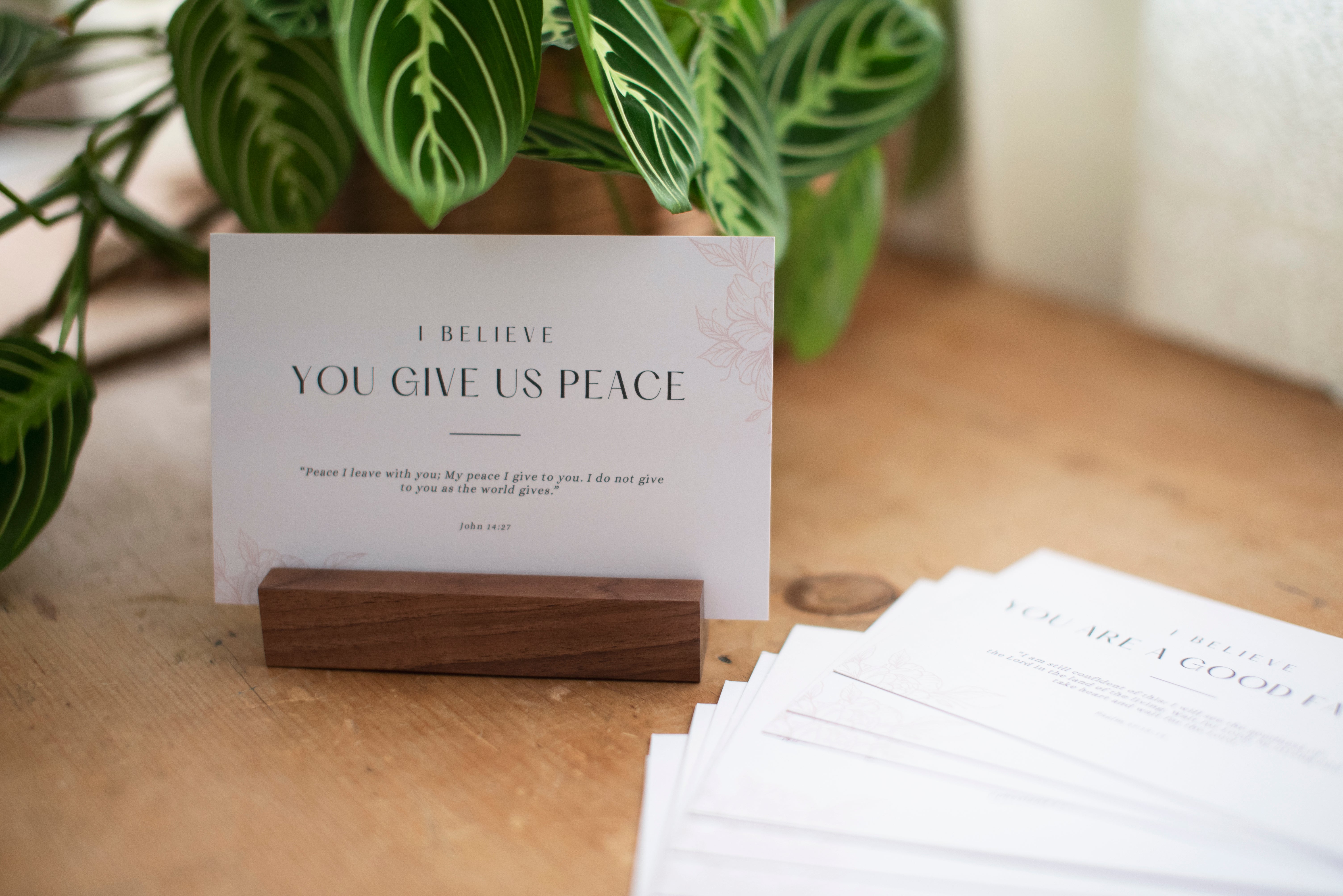 Declaration Cards + Journal – Twelve12 Ministries